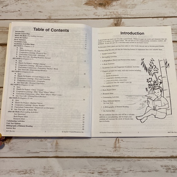 The Cay Novel and Unit Study - Picture 6 of 8